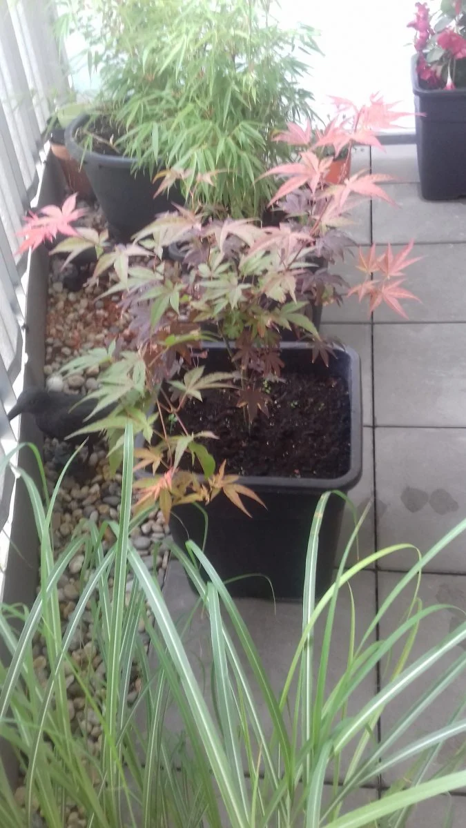 20190701_102447.jpg