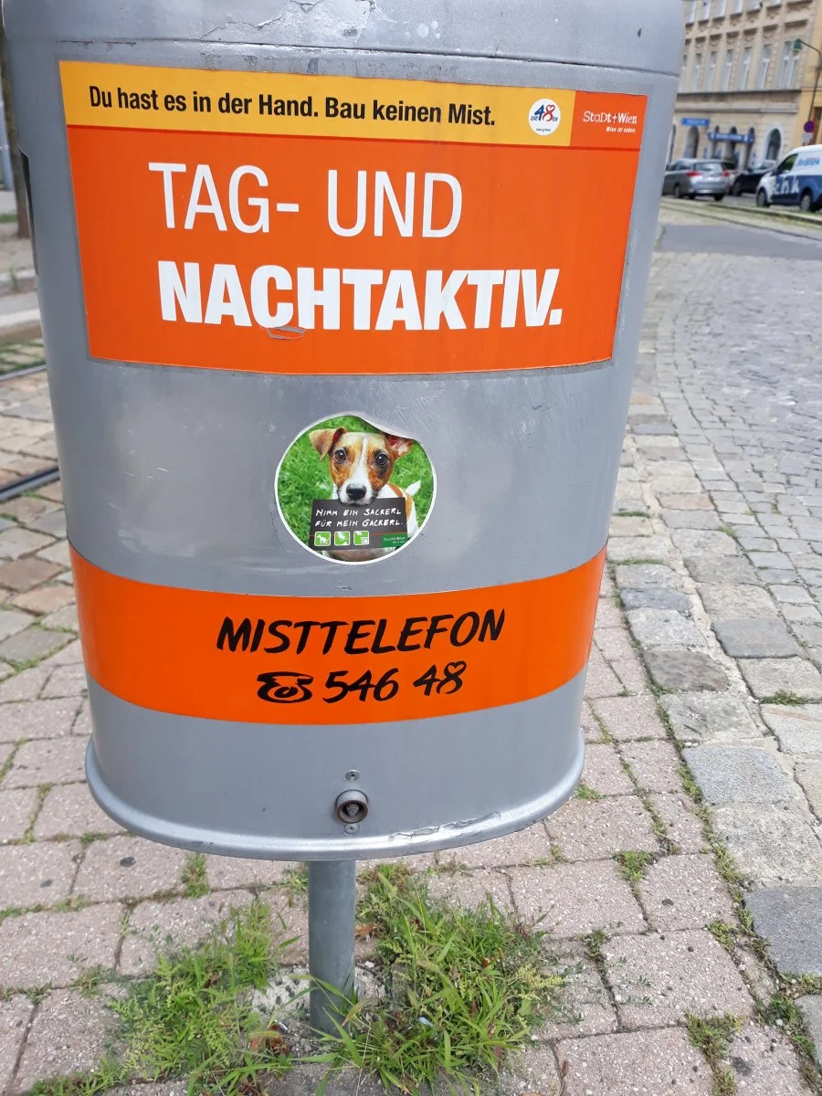 20190707_154844.jpg