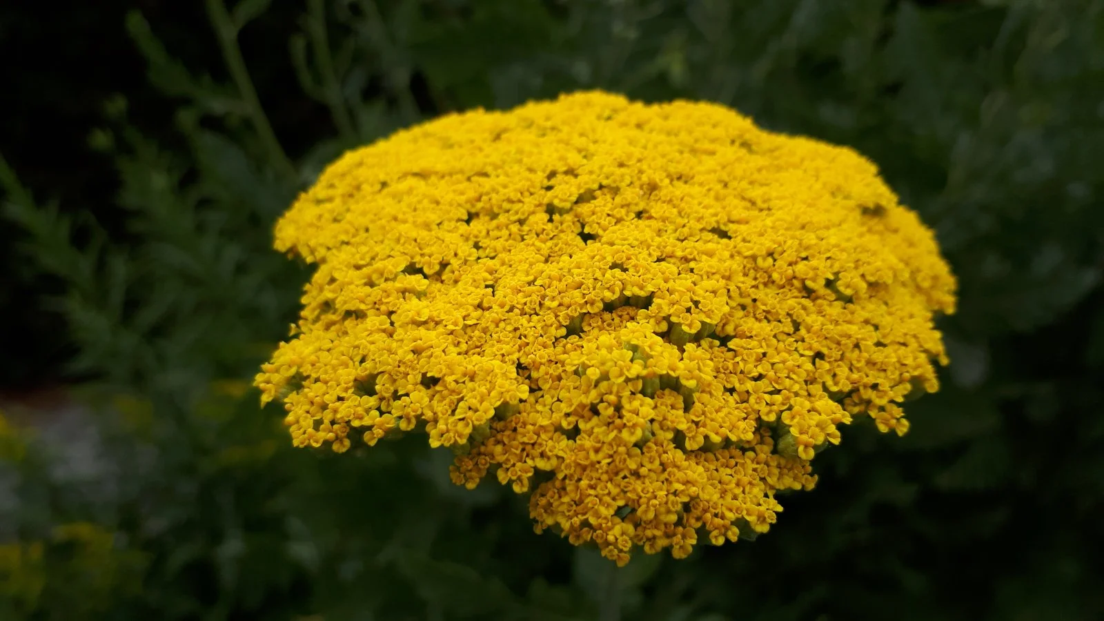 20190709_104450.jpg