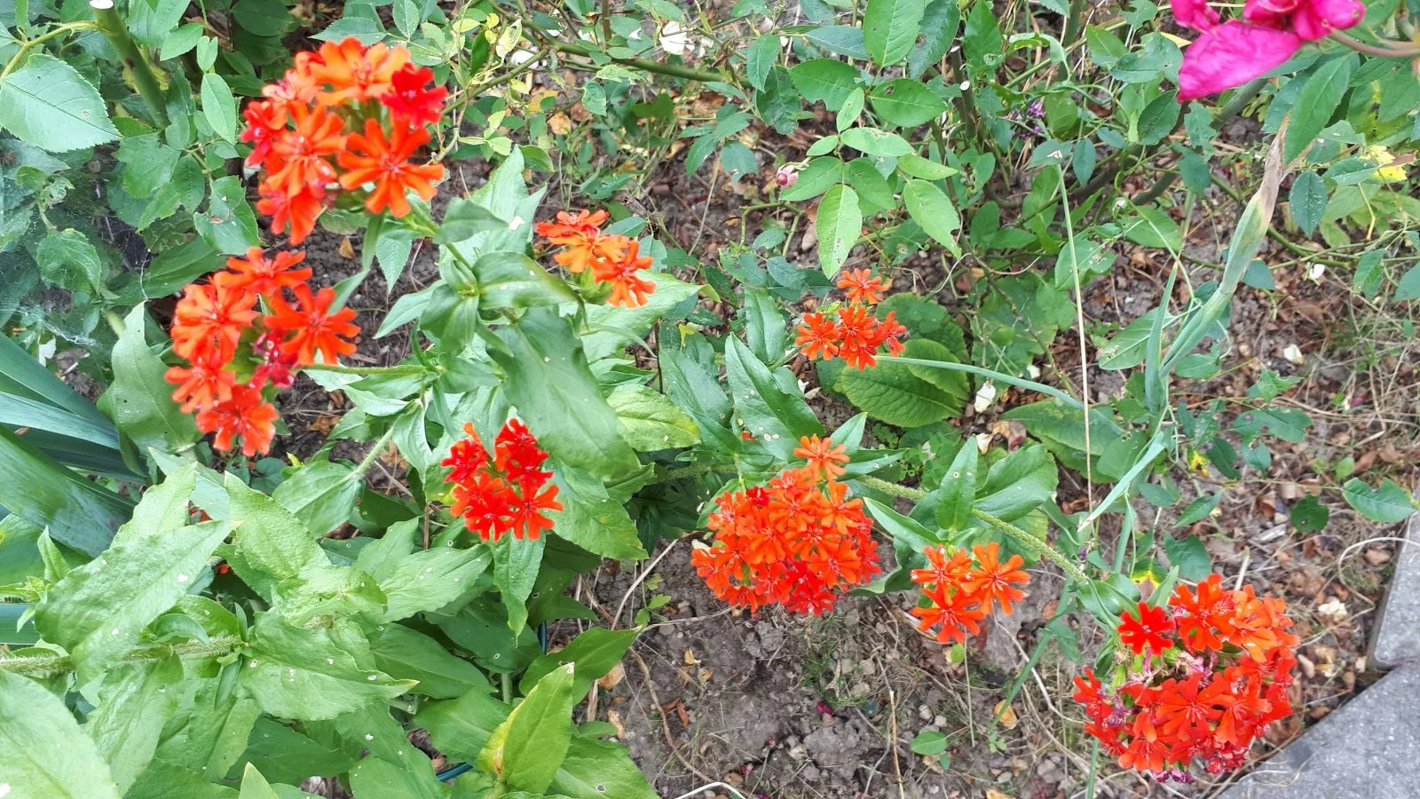20190709_104512.jpg