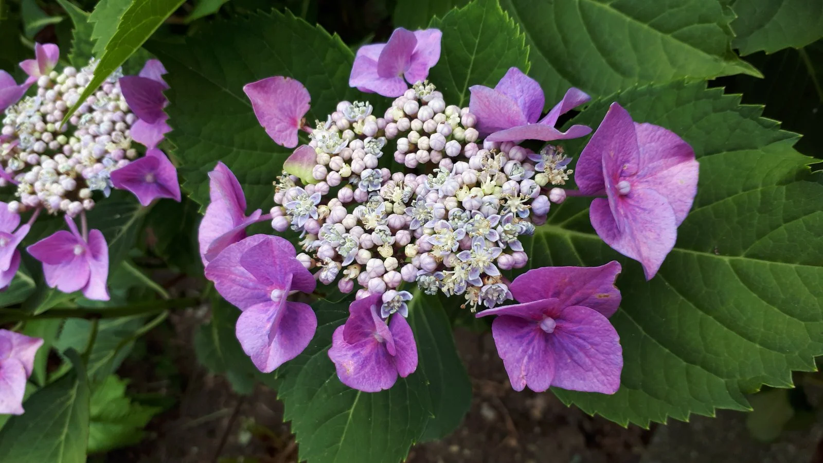 20190709_105338.jpg