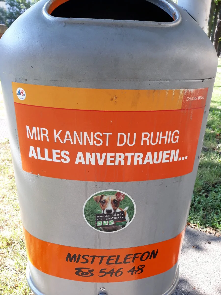 20190714_094045.jpg