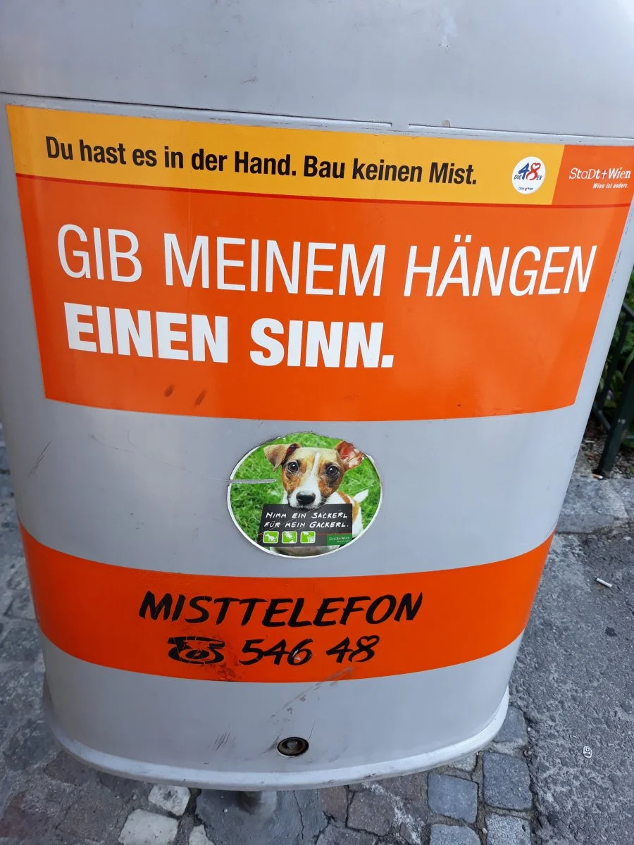 20190714_094645.jpg