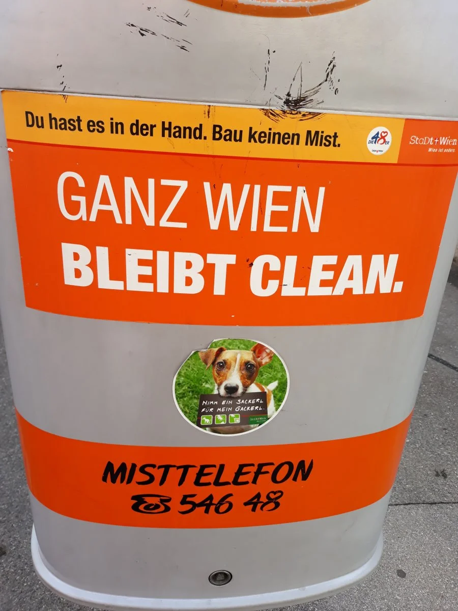 20190714_094829.jpg