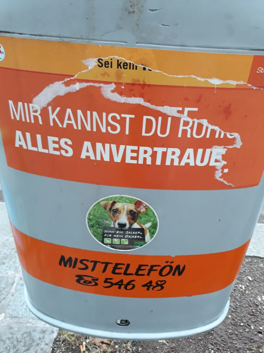 20190714_095540.jpg