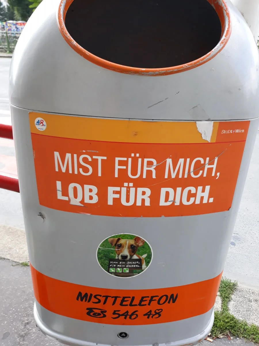 20190714_095908.jpg