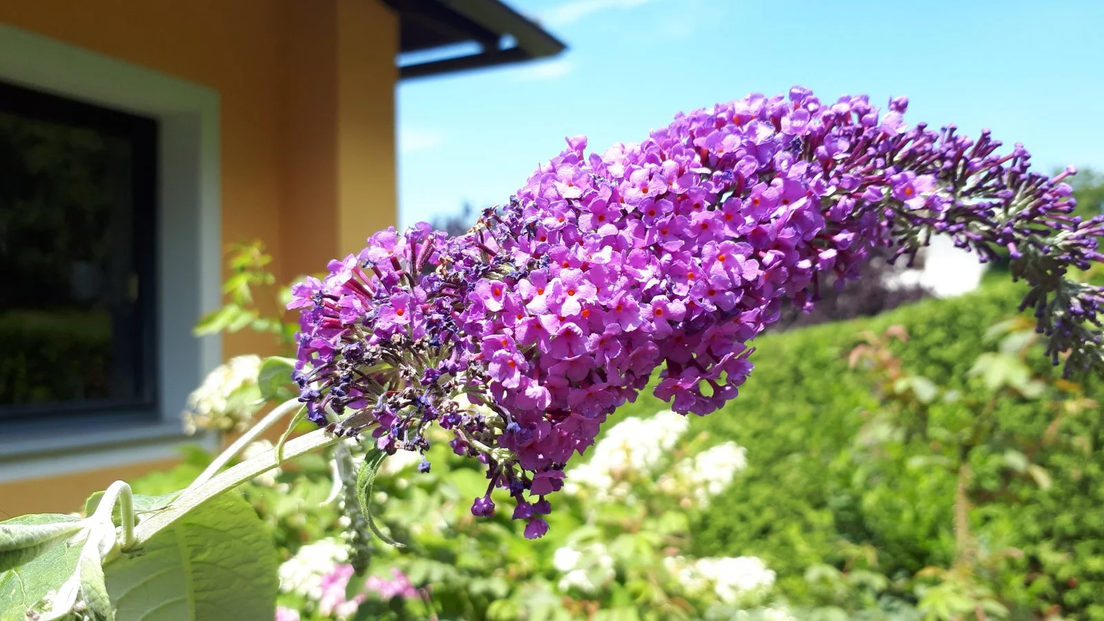 20190717_122424.jpg