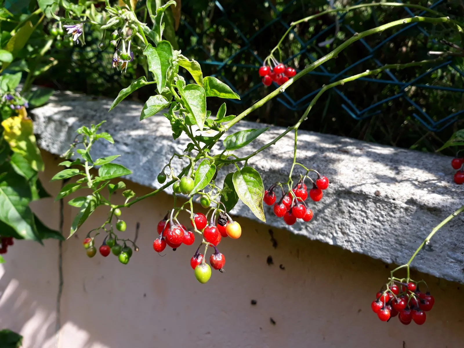 20190808_104901.jpg