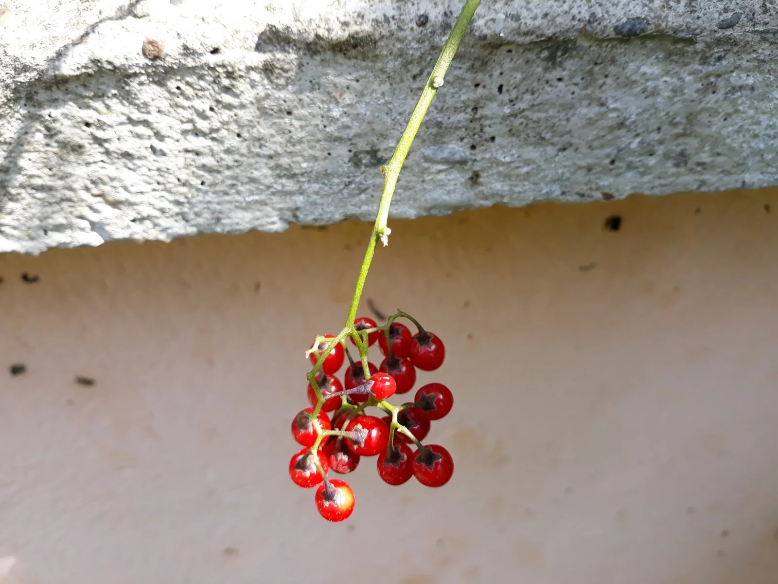 20190808_104926.jpg