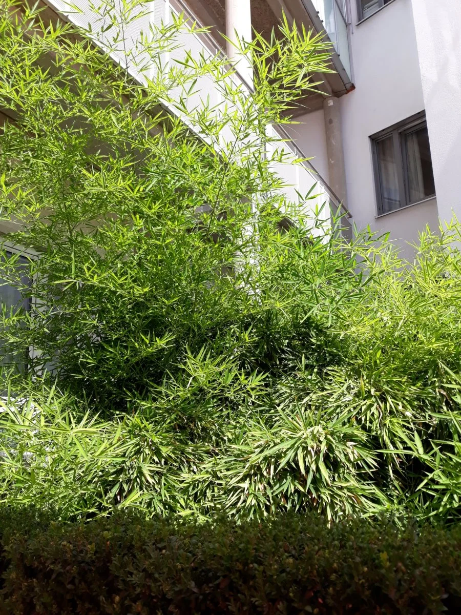 20190808_145604  1.jpg