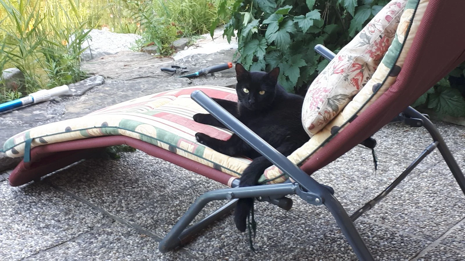 20190809_180832.jpg