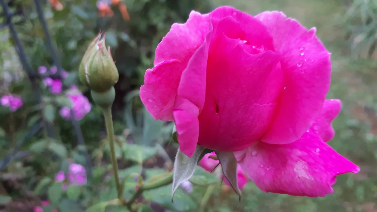 20190810_181412.jpg
