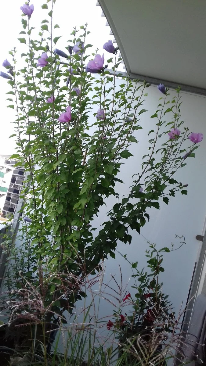 20190828_100927.jpg