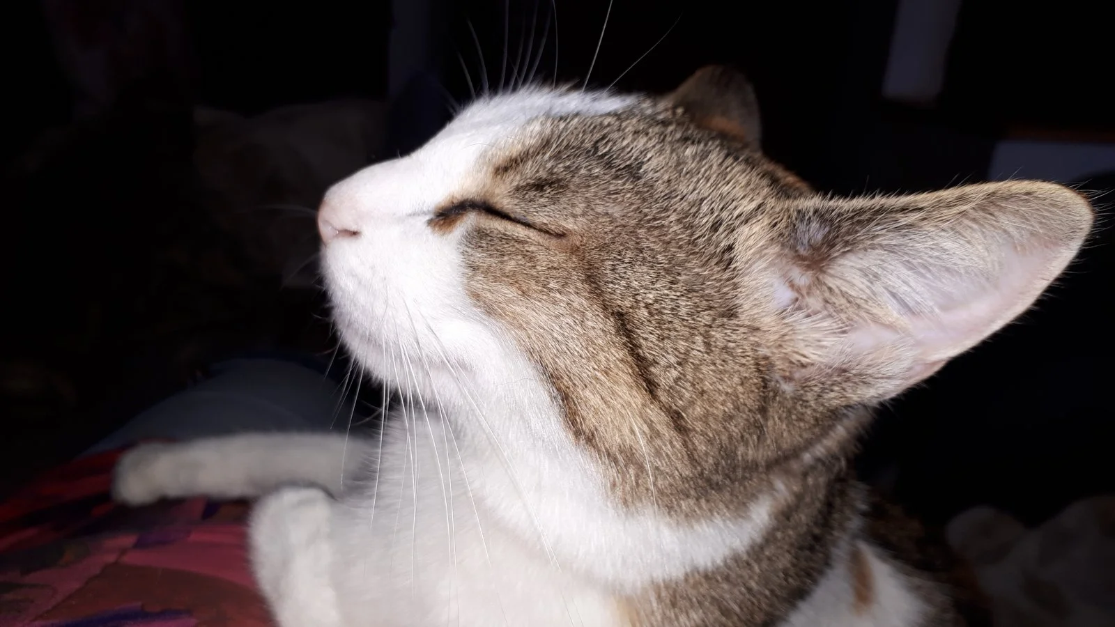 20190831_112735.jpg