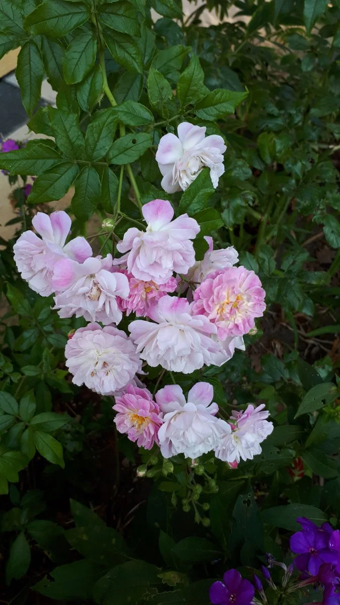 20190901_090415.jpg