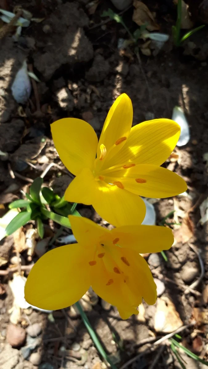 20190905_152214.jpg