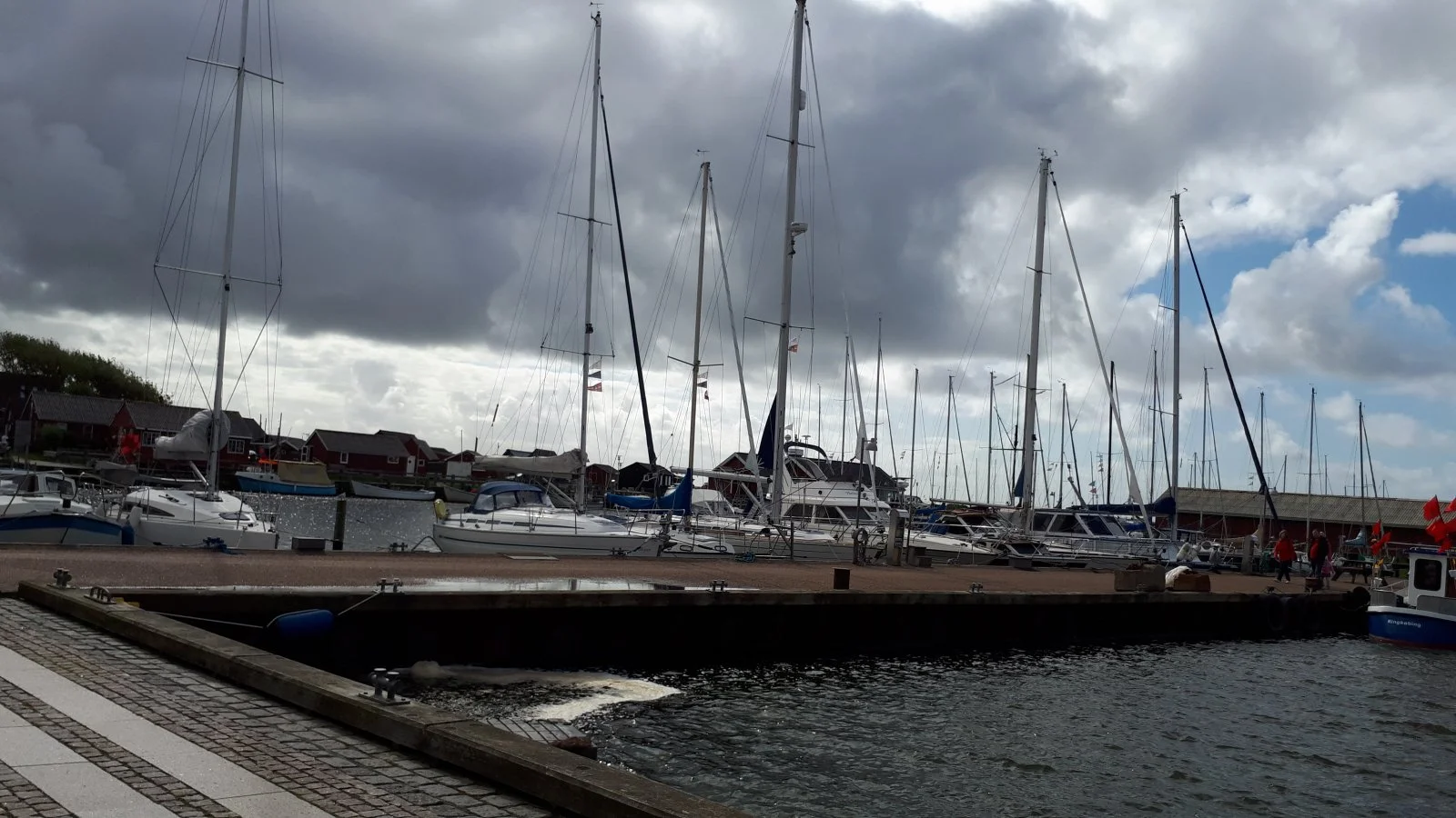 20190912_114017.jpg