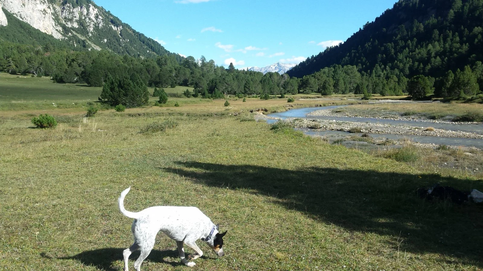 20190912_163320.jpg