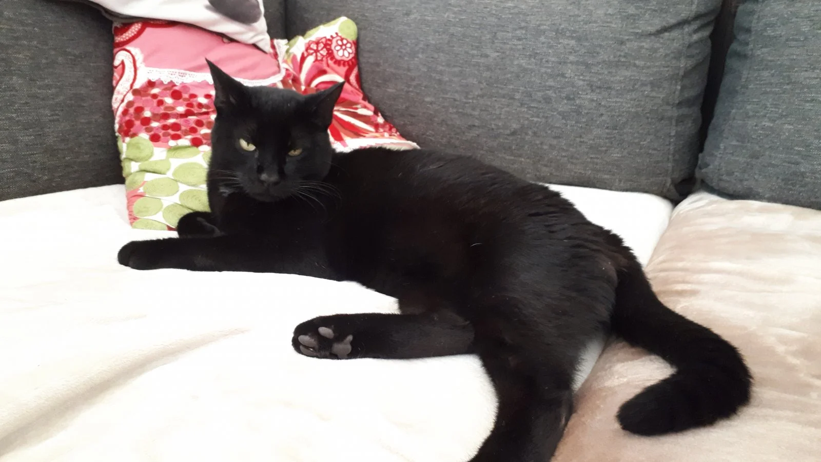 20190914_164645.jpg