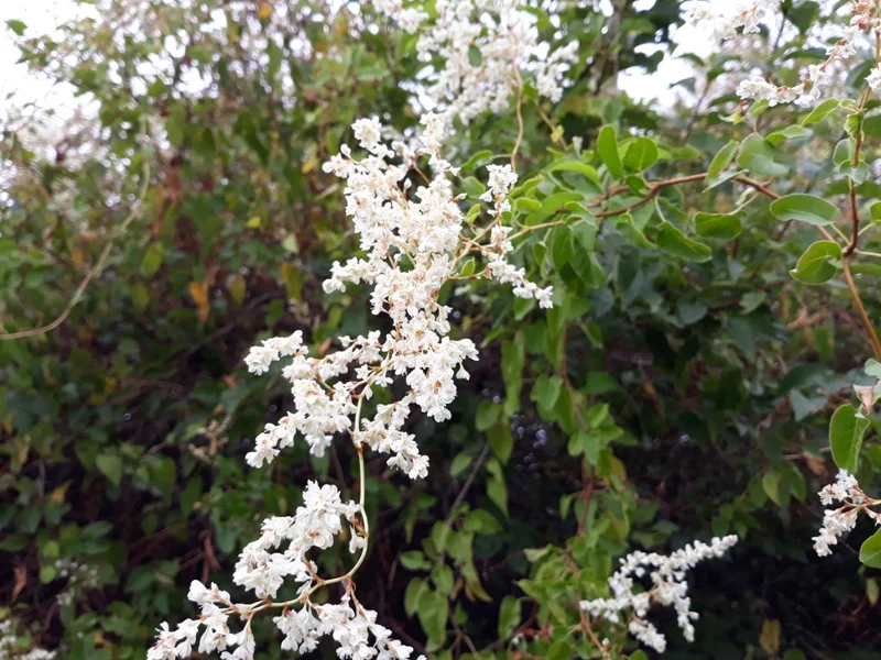 20190925_125441.jpg
