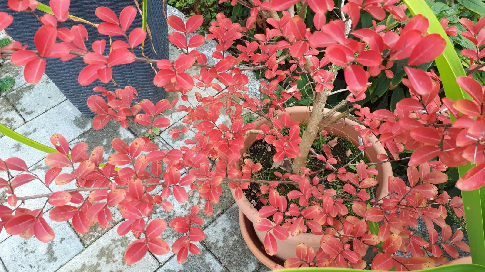 20190927_153950-3456x1944.jpg