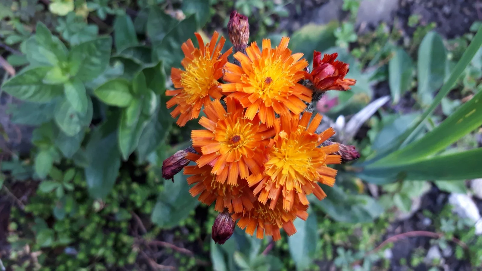 20190929_172306.jpg