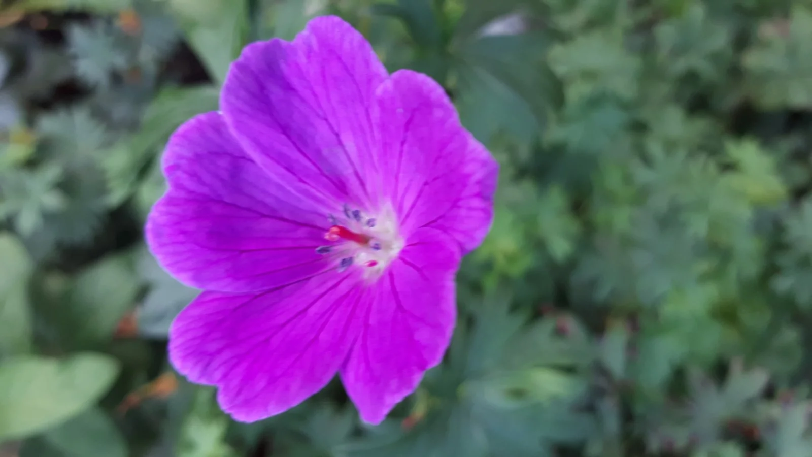 20190929_172331.jpg