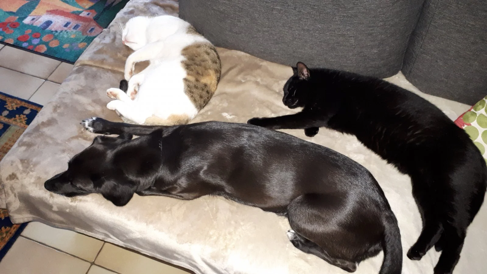 20191003_180255.jpg