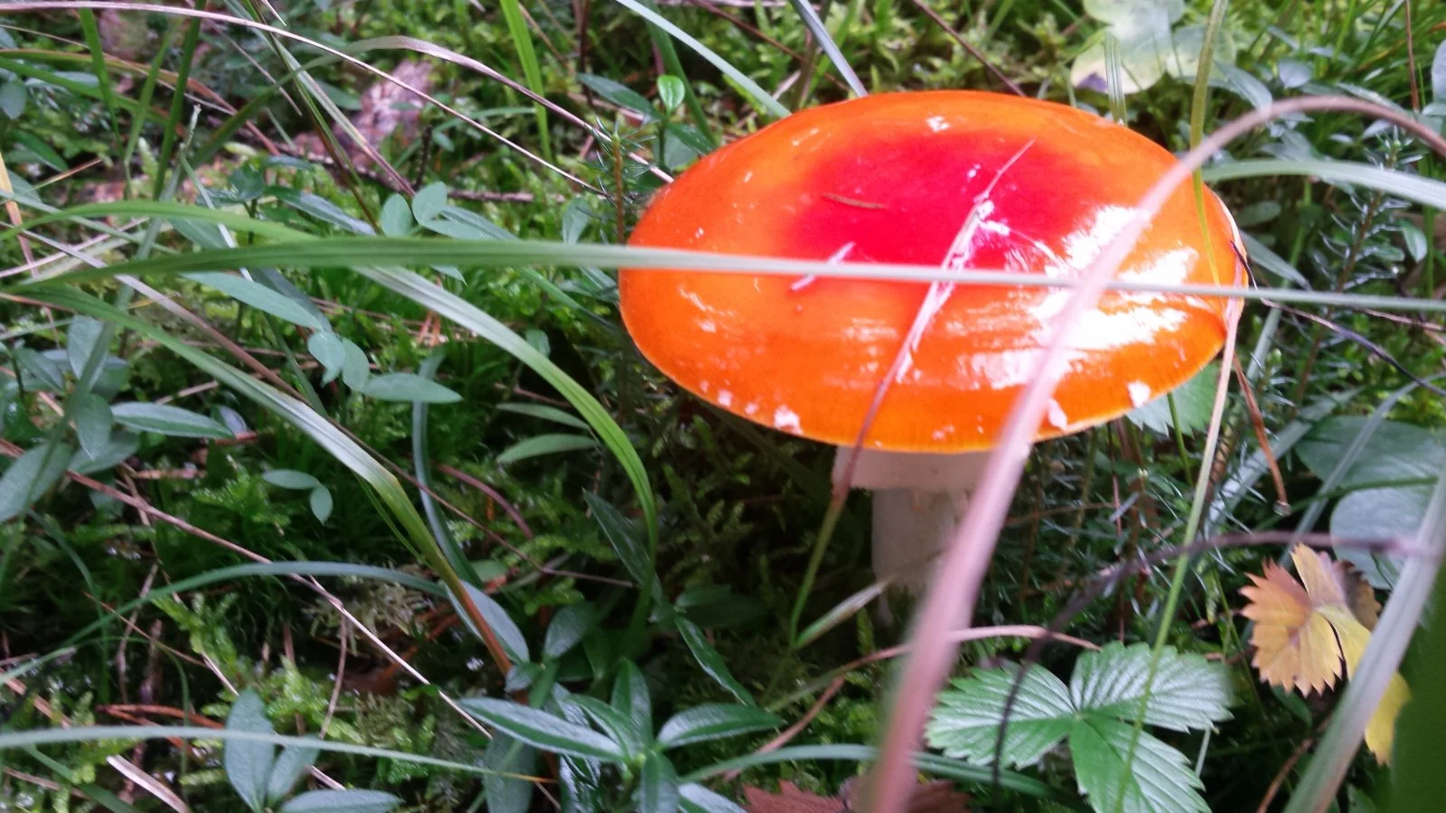20191006_144817.jpg