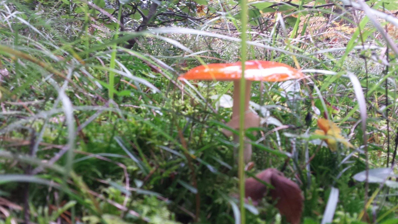20191006_144853.jpg