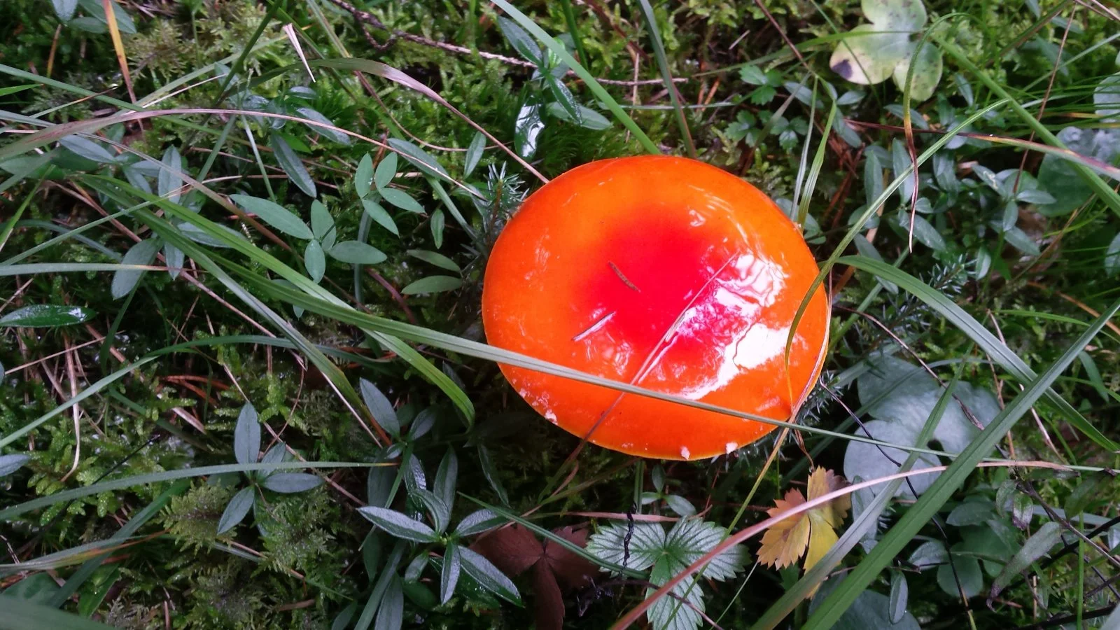 20191006_144901.jpg