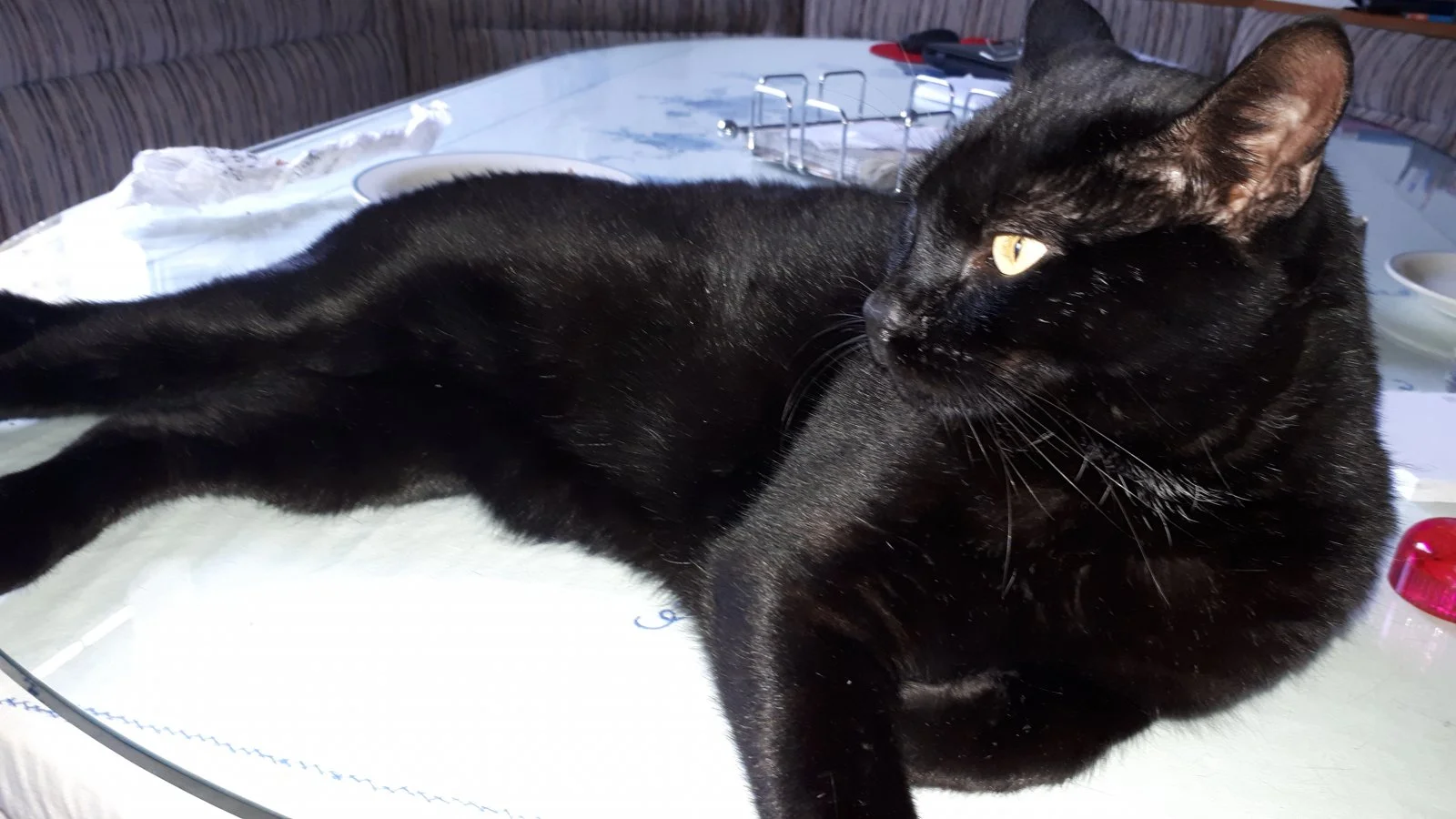 20191108_104355.jpg