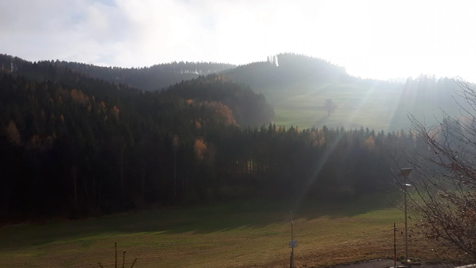 20191117_141826.jpg