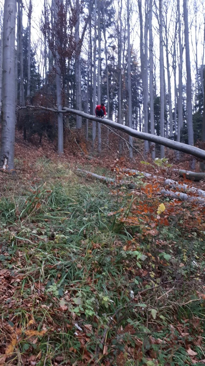 20191117_154642.jpg