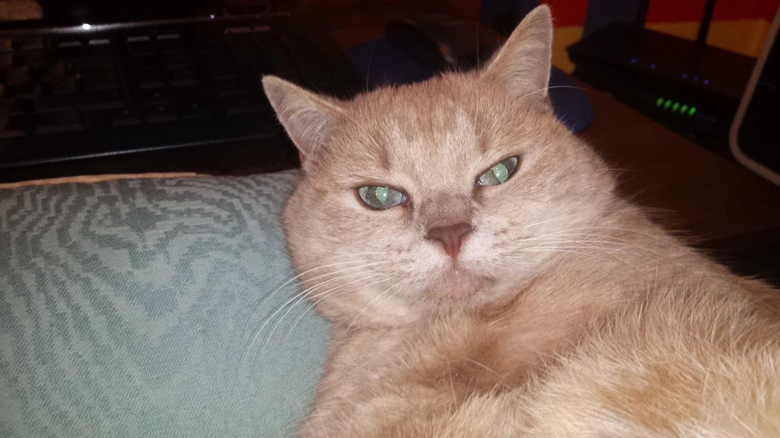 20191128_014217.jpg