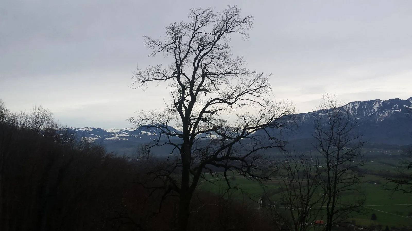20191211_144721.jpg