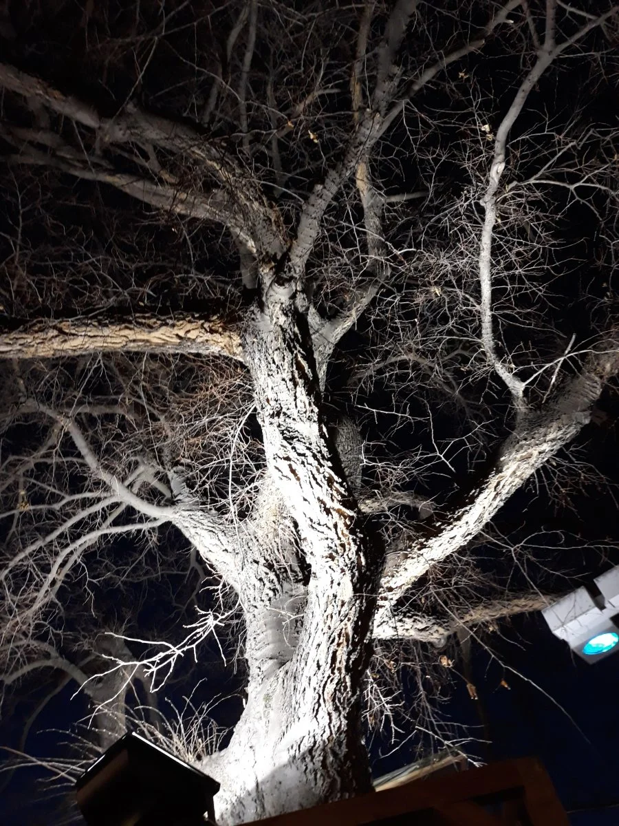 20191218_164643.jpg
