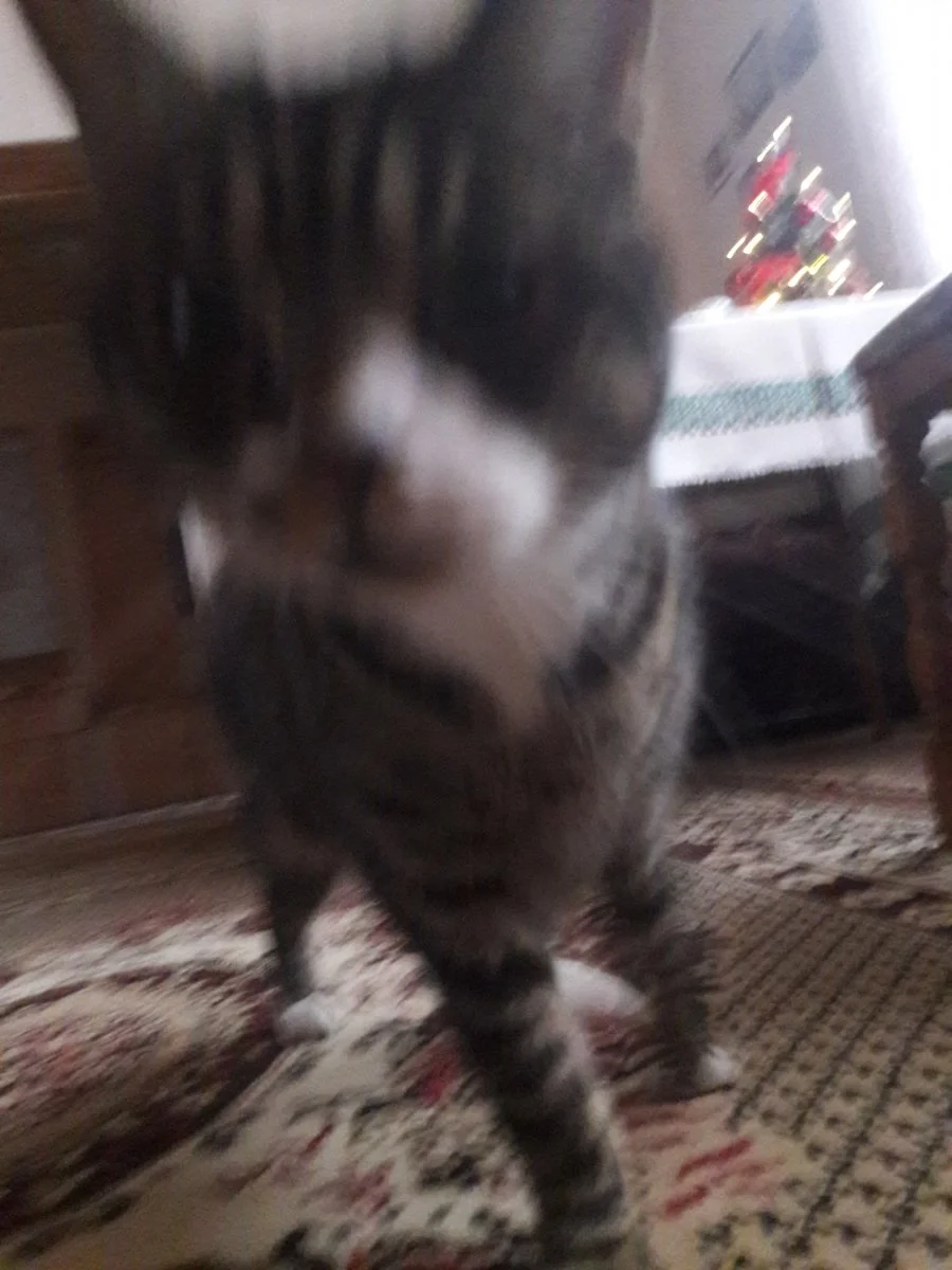20191226_130639.jpg