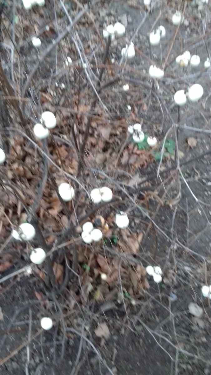 20191230_153142.jpg