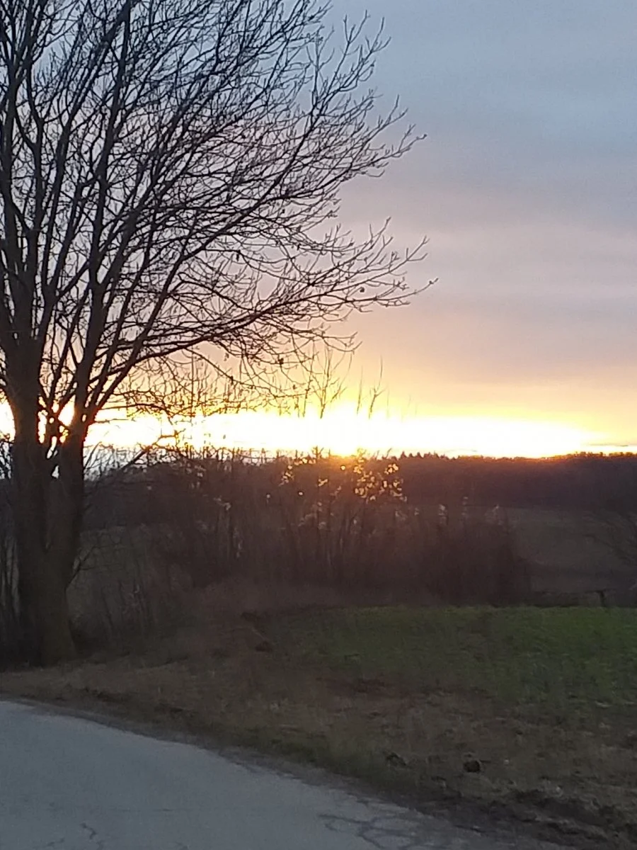 20200111_160307.jpg