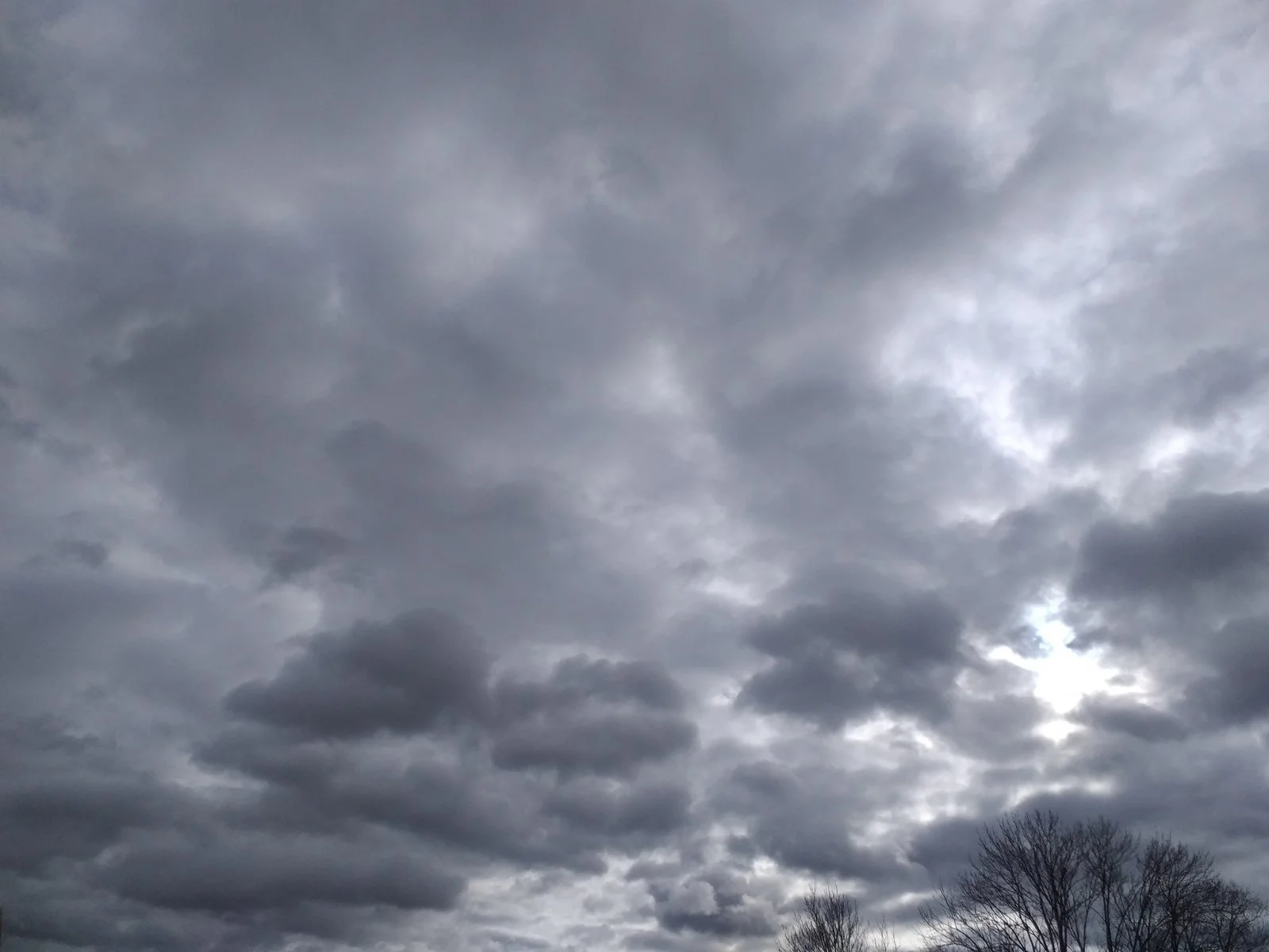 20200131_125558.jpg