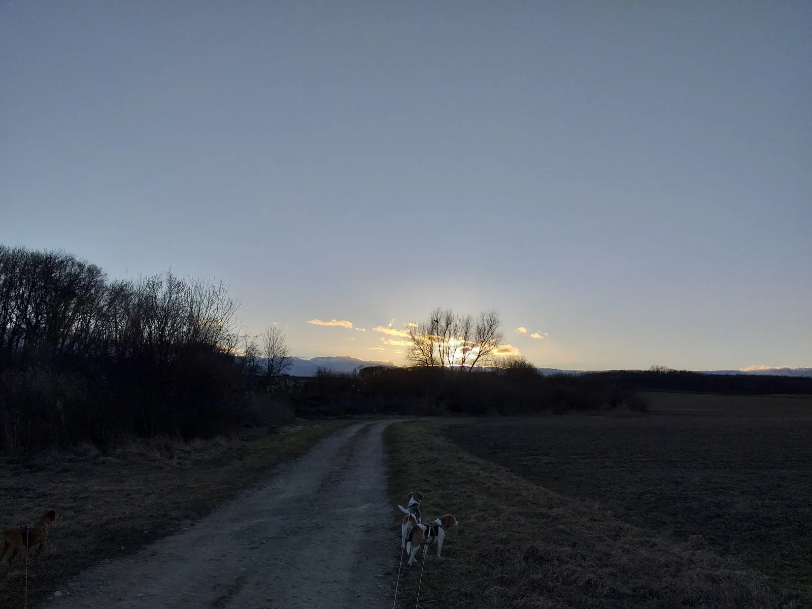 20200221_165514.jpg
