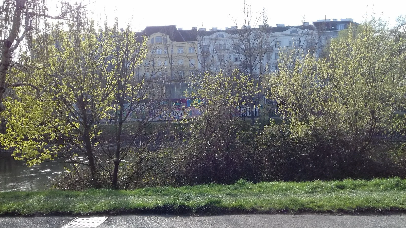 20200327_155149.jpg