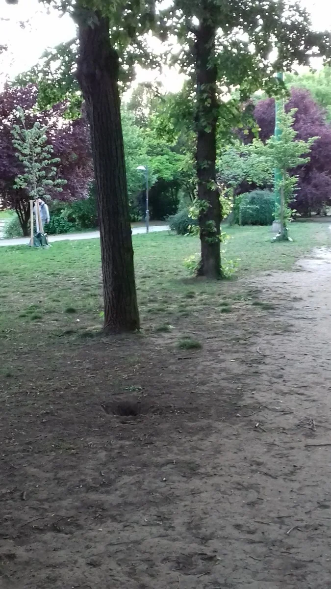 20200512_200939.jpg
