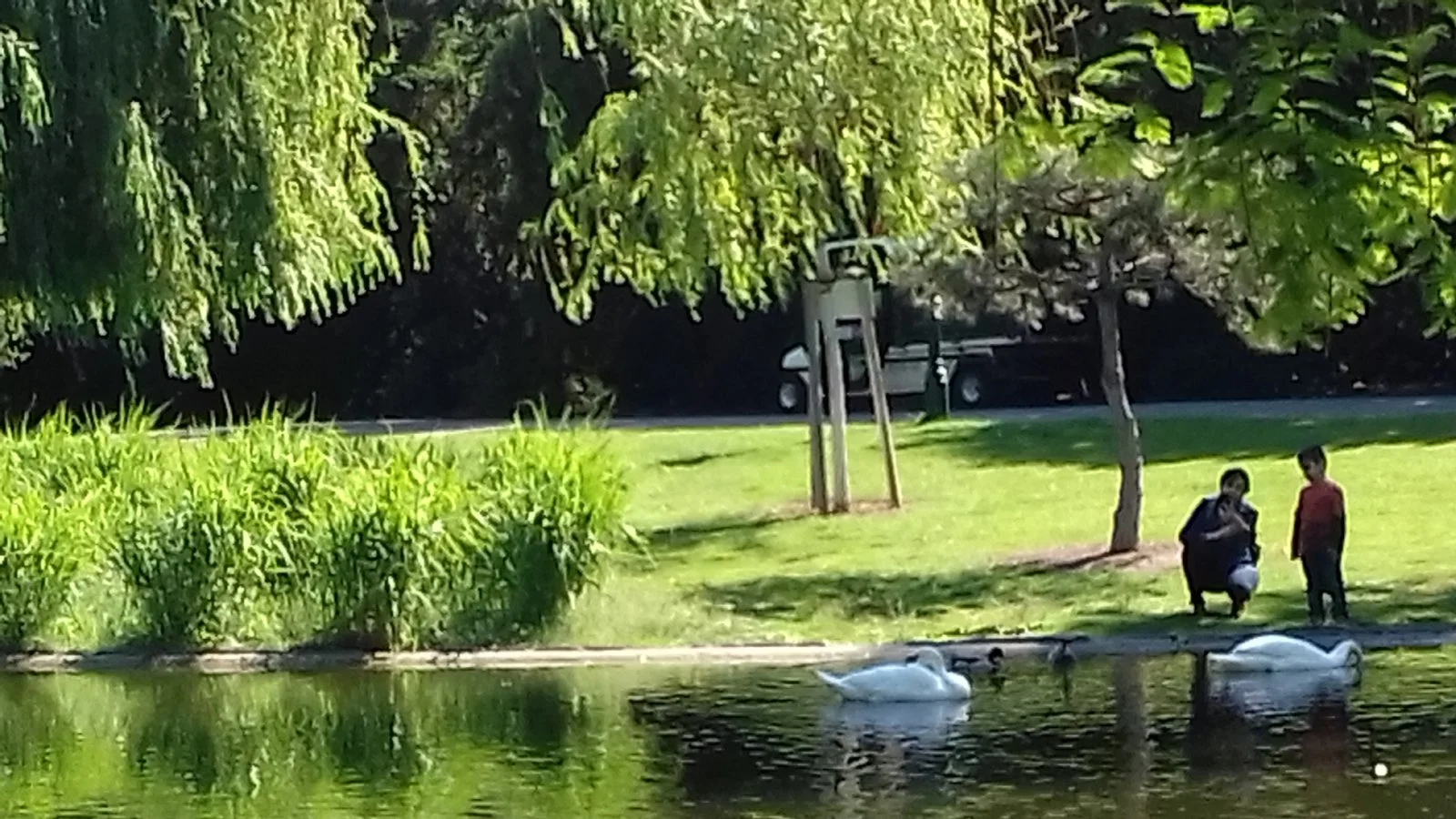 20200518_100356.jpg