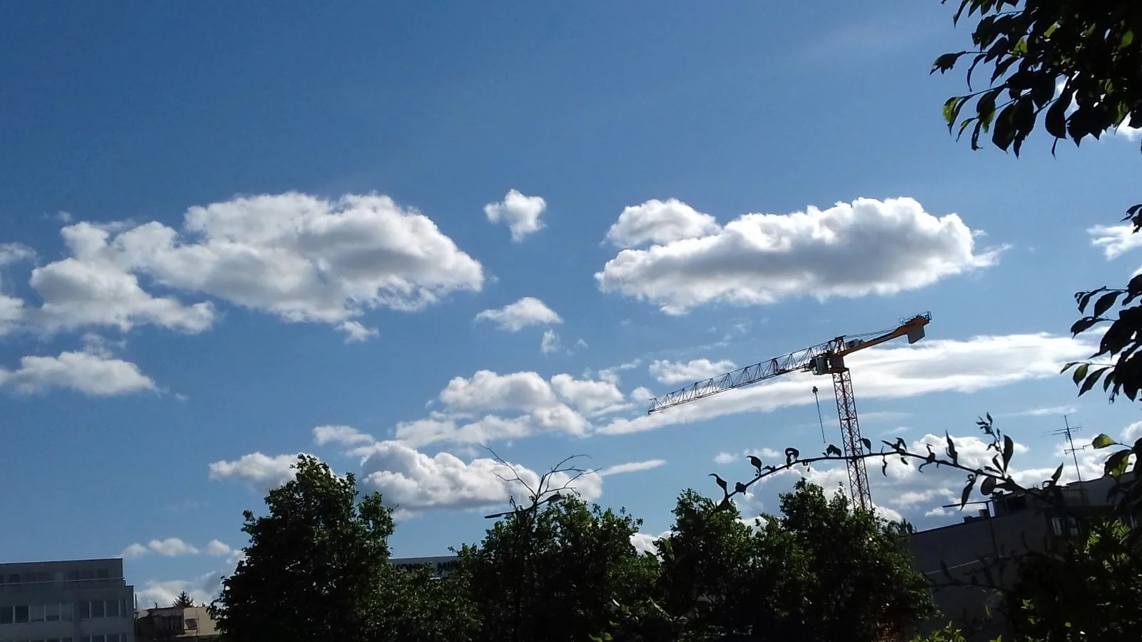 20200602_165059.jpg