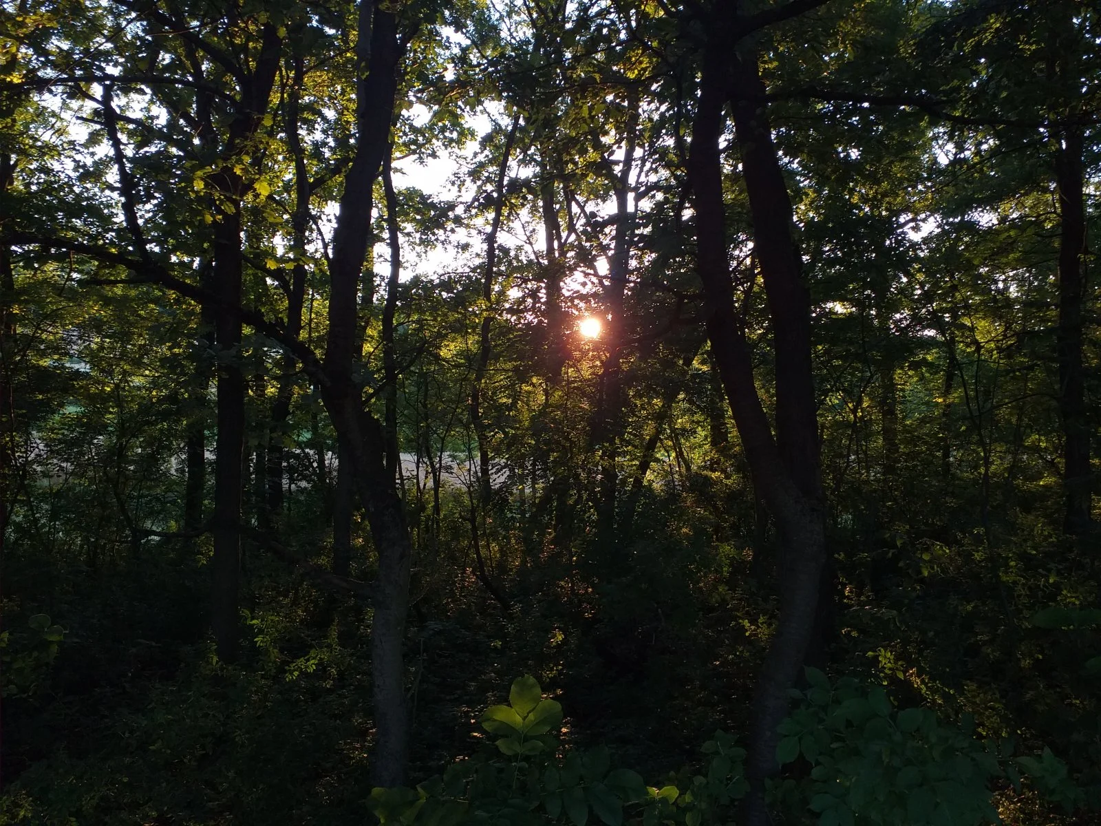 20200713_201333.jpg