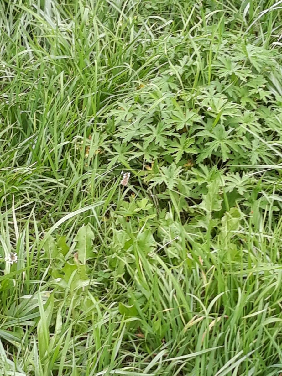 20200802_161440.jpg