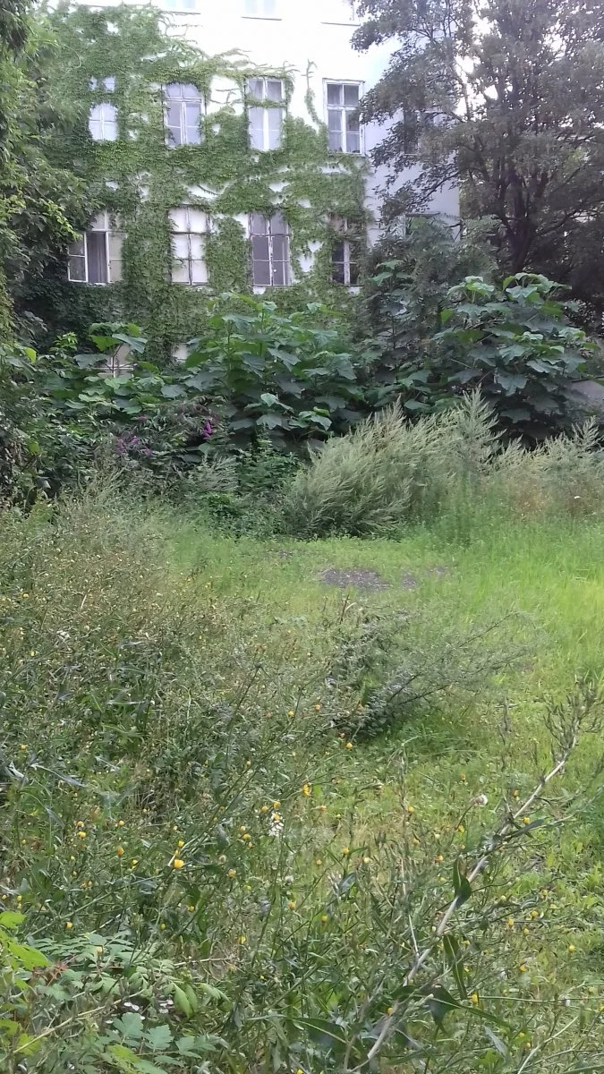 20200805_191039.jpg