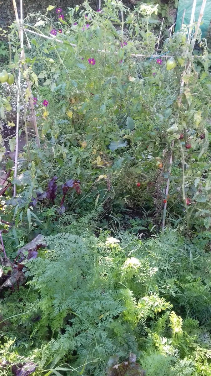 20200903_100427.jpg